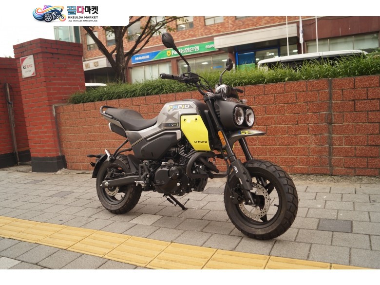 CF모토 파피오 XO-2 2024년식 범버 장착해드립니다.
