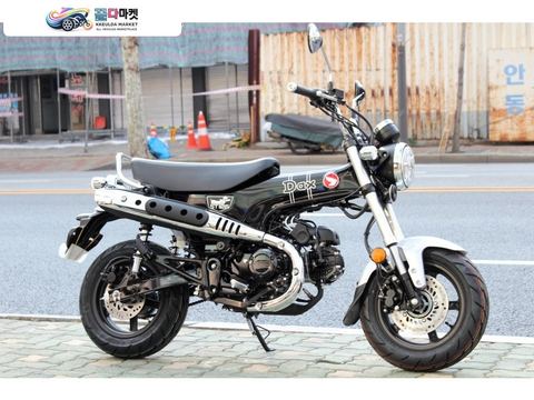혼다 ST 125 닥스 2025년식 혼다 닥스125 ST125 신형 신차 판매 / 무이자 할부 / 대차 환영 / 전차종 고가 매입 전문