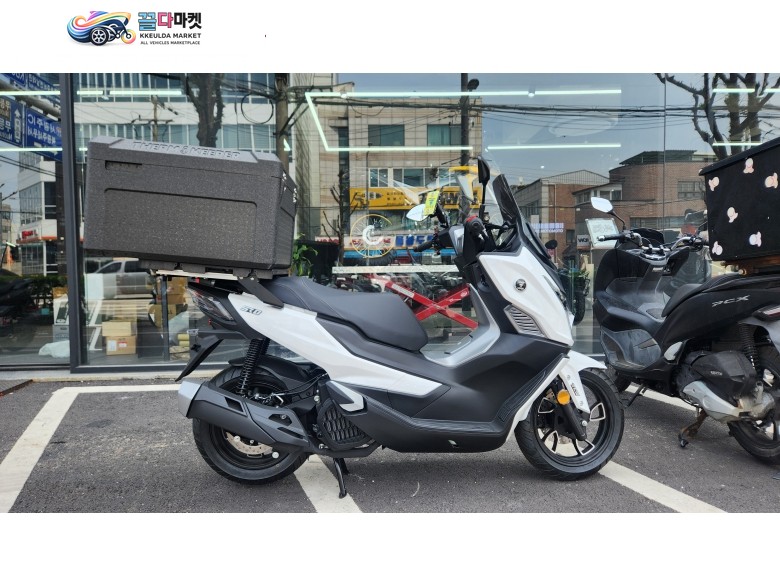 보그 SR 125 GT 2025년식 VOGE 보그 SR125GT 신차 2025년식 화이트 색상 즉시 출고
