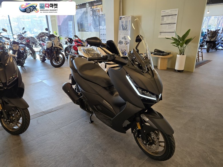 존테스 125 D 2025년식 2025 존테스 125D 439만원