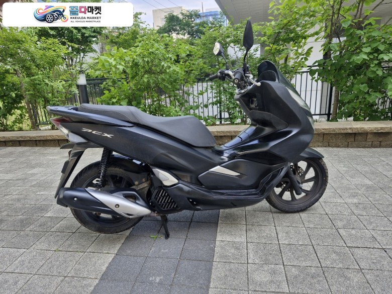 혼다 PCX 125 FI 2019년식 ▶▷드라이브애드/DC-012/ 혼다 / PCX /19년식/ 0.5만km(메다 교체) /중고 오토바이 판매◁◀