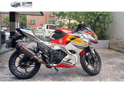 가와사키 닌자 400 ABS 2018년식 가와사키 닌자400(골드번호*777+아크라포빅 풀배기 머플러+힐택 퀵시프트)