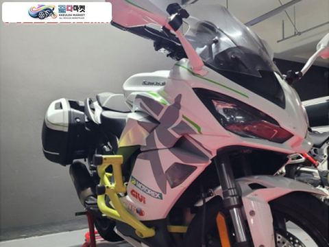 가와사키 닌자 1000 SX ABS 2021년식 닌자 1000sx 21년식 trick star 풀도색+크레이지 아이언조합 판매