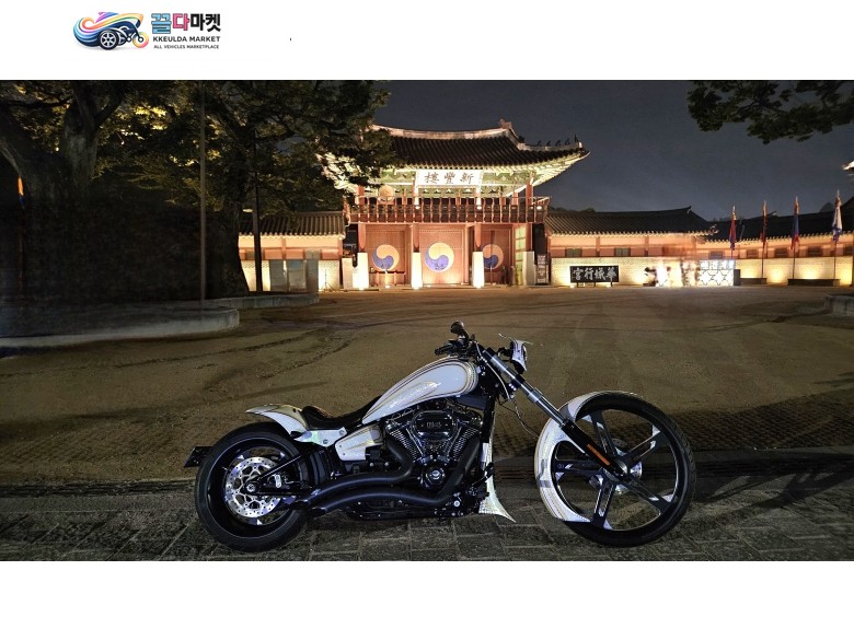 할리데이비슨 브레이크아웃 114 2020년식 풀커스텀 도색 26인치 브레이크아웃 114