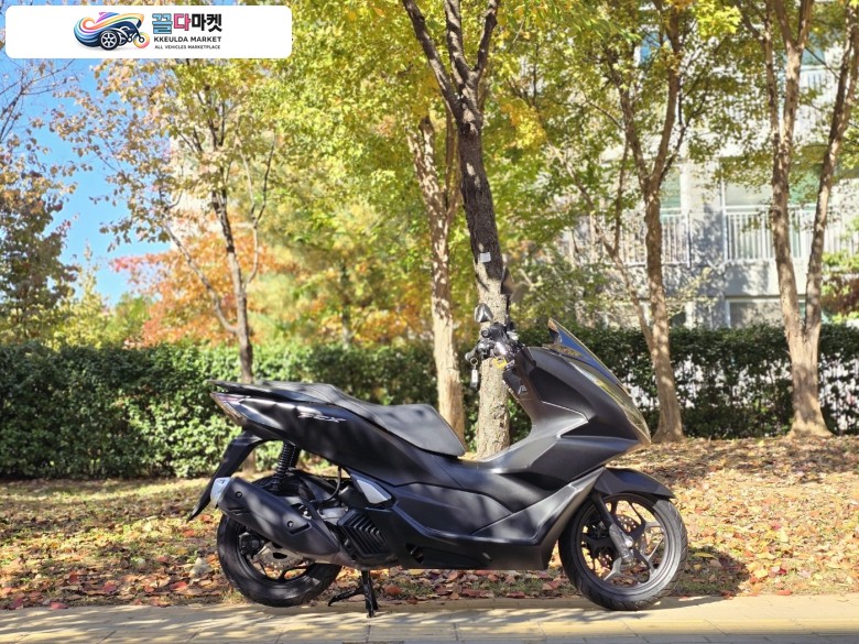 혼다 PCX 125 ABS 2021년식 혼다 PCX125 21년식 판매합니다