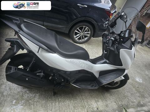 존테스 350 D 2024년식 존테스 350d 급매 합니다