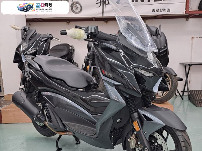 존테스 310 M 2025년식 한정수량 프로모션 ^ 카드 최장 24개월 무이자 할부 가능 ^ 중고매입 대차가능