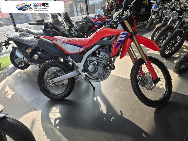 혼다 CRF 300 L 2025년식 25년 CRF300L 신차 판매