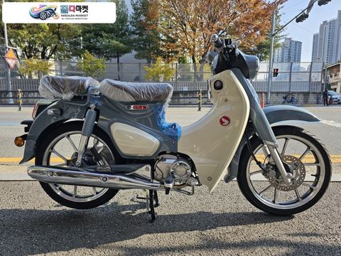혼다 슈퍼 커브 C 125 ABS 2025년식 혼다 C125 슈퍼커브125 25년 신차판매