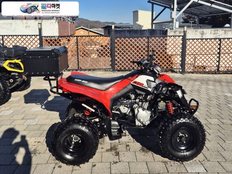 캔암 DS 250 2021년식 캔암 ds250판매합니다