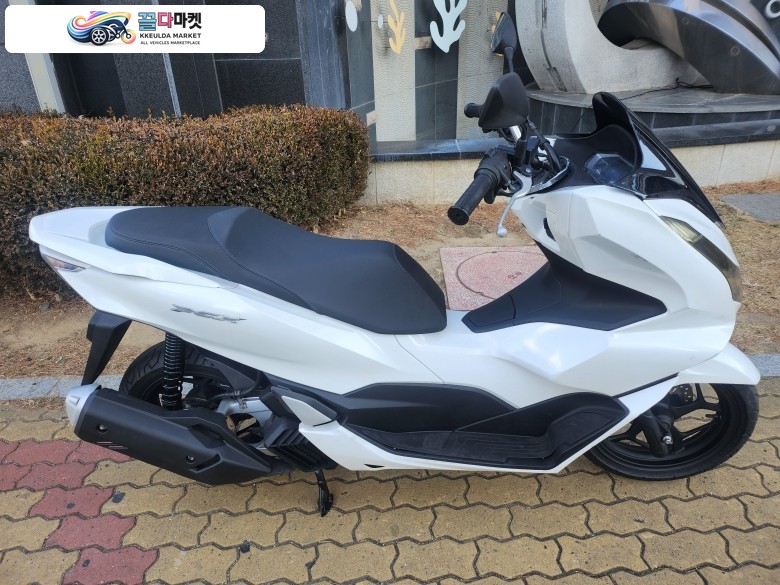혼다 PCX 125 ABS 2022년식 혼다 PCX125 관리상태 양호한 깔끔한 화이트