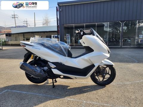 혼다 PCX 125 ABS 2026년식 [신차]HONDA 혼다 PCX125 2026년 화이트 고급스러운 스타일링과 쾌적하고 여유로운 주행 성능