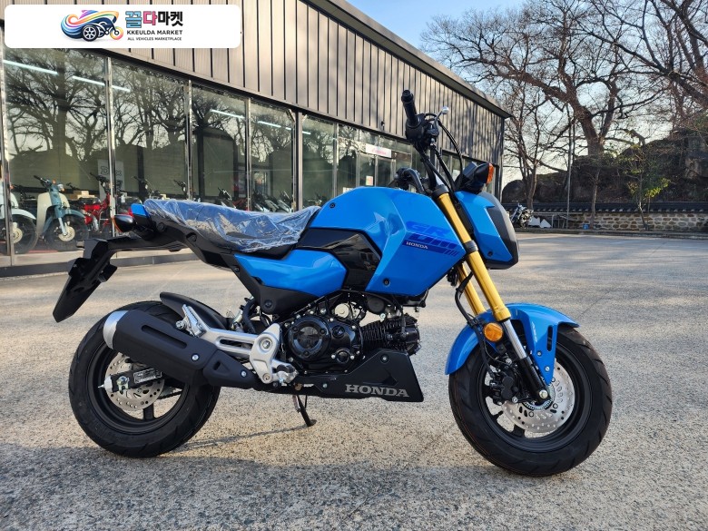 혼다 MSX 125 그롬 2025년식 [신차]HONDA 혼다 MSX125 GROM 블루 유니크한 디자인 탄탄한 기본기