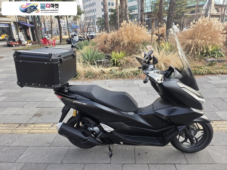 혼다 PCX 125 ABS 2025년식 티바이크 2025년 최상급 컨디션 혼다 베스트셀링 더뉴 PCX125 ABS 블랙 컬러 판매합니다. -카드-대차-할부-