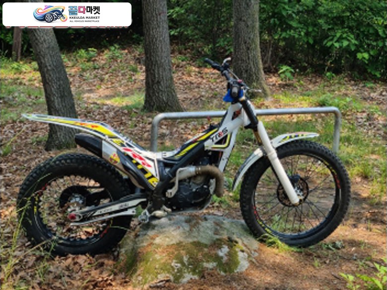 가스가스 프로 300 2018년식 trs트라이얼300cc
