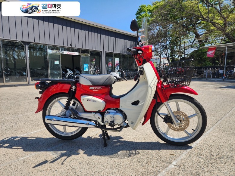 혼다 슈퍼 커브 110 2021년식 [중고]HONDA 슈퍼커브110 신차급 컨디션! 2023년식  Super Cub110 레드(650km)