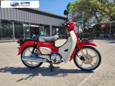 혼다 슈퍼 커브 110 2021년식 [중고]HONDA 슈퍼커브110 신차급 컨디션! 2023년식  Super Cub110 레드(650km)