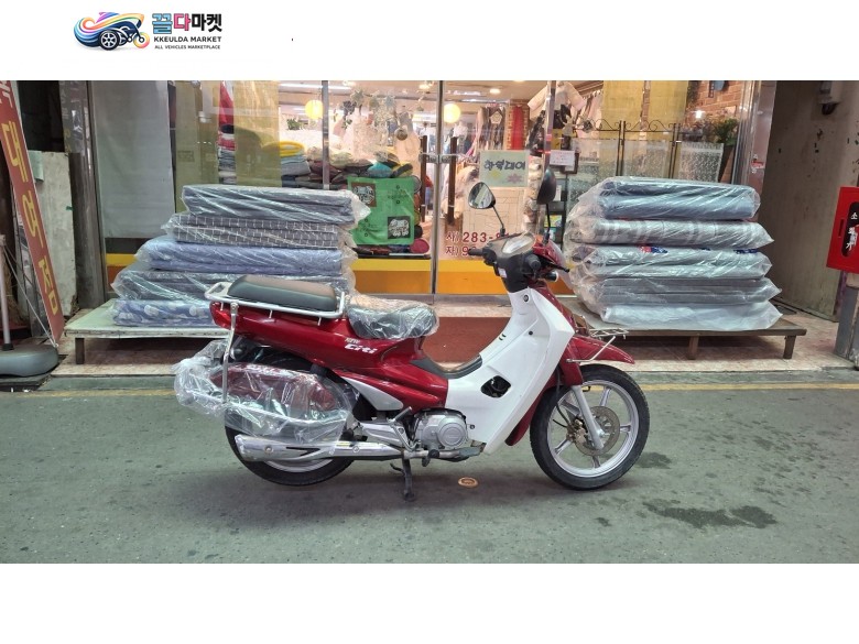 씨티 100