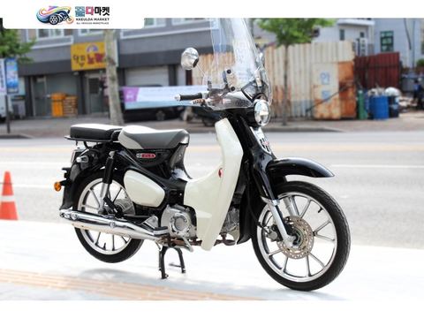 혼다 슈퍼 커브 C 125 ABS 2020년식 중고오토바이매입 전문 / 혼다 C125 ABS 1인신조 2천키로 무사고 판매 / 대차 환영 / 무이자 카드 할부