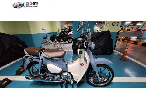혼다 슈퍼 커브 C 125 2025년식 슈퍼커브c125