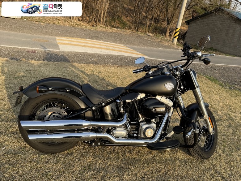 할리데이비슨 소프테일 2017년식 17년식 softail 20000km 폐지