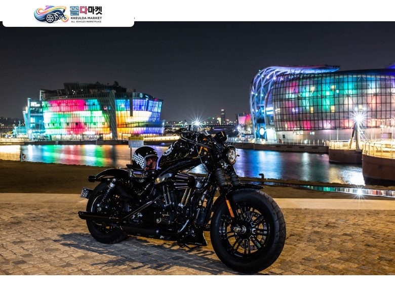 할리데이비슨 포티에잇 48 2019년식 2019 포티에잇 바버커스텀