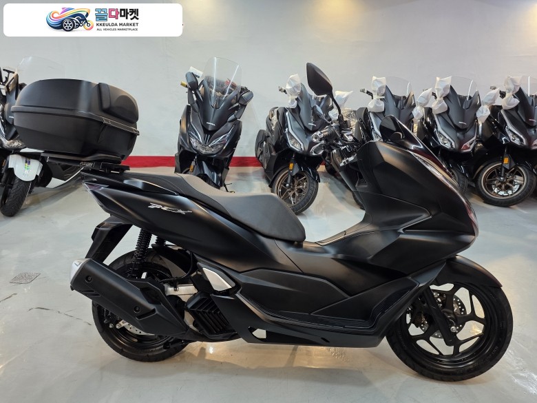 혼다 PCX 125 ABS 2024년식 혼다 PCX125ABS 24년식 판매합니다