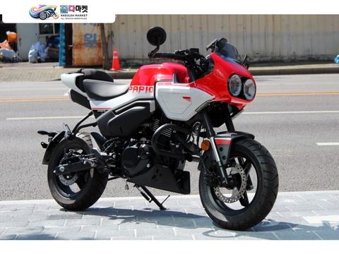 CF모토 파피오 XO-1 2025년식 중고오토바이매입 전문 / CF모토 파비오 XO-1 1인신조 900km 신차급 판매 / 대차 환영 / 무이자 카드 할부