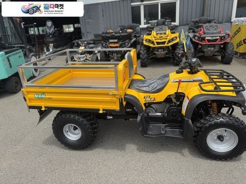 중국기타 ATV 2026년식 팜트럭 YA180L2D