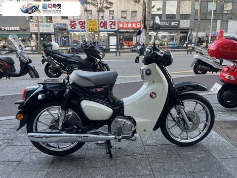 혼다 슈퍼 커브 C 125 2020년식 ▶혼다 슈퍼커브 C125 / 할부,카드,대차,캐피탈◀