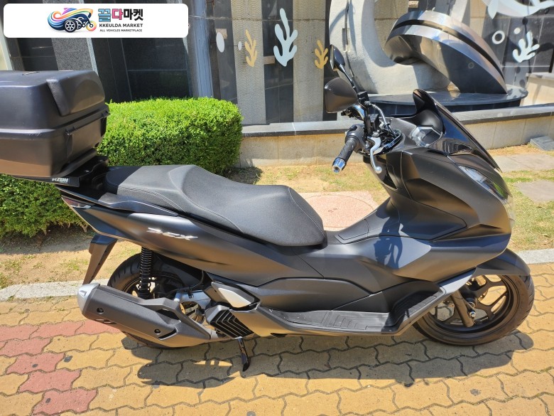혼다 PCX 125 ABS 2024년식 혼다 PCX125 24년식 깨끗한 중고