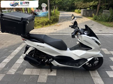 혼다 PCX 125 ABS 2024년식 PCX125 24년 ABS 화이트컬러 스마트키 무슬립무사고 팝니다