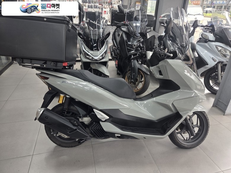 혼다 PCX 125 ABS 2025년식 / 성남 일흥 모터스 / 상태 좋은 2025년식 PCX 125