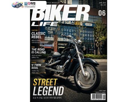 혼다 쉐도우 1100 샤브레 2003년식 쉐도우 샤브레 vt1100c2 환검완료