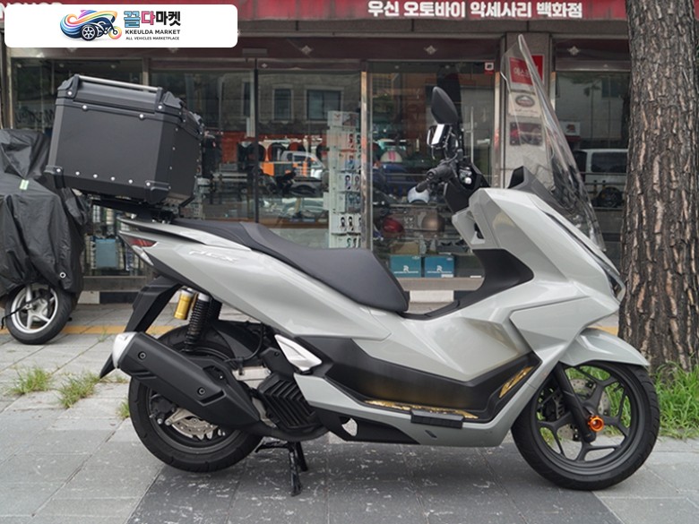 혼다 PCX 125 ABS 2026년식 [복지모터스]  주행거리 6672km  / 옵션 / 대차 카드가능