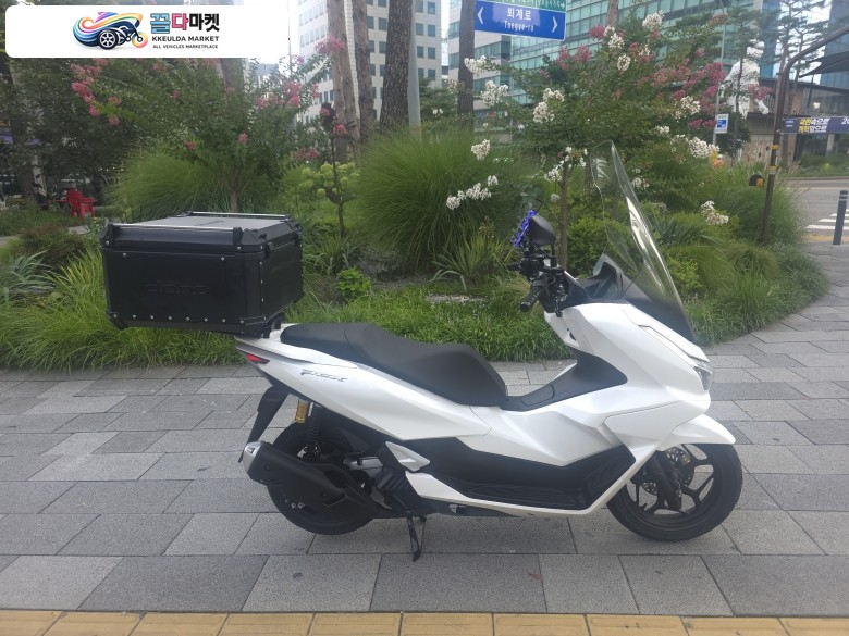 혼다 PCX 125 ABS 2025년식 티바이크 2025년 최상급 컨디션 혼다 더뉴PCX125 ABS 화이트 컬러 배달세팅 판매합니다. -카드-대차-할부-
