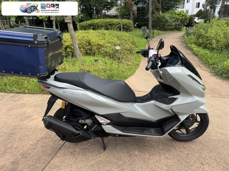 혼다 PCX 125 ABS 2025년식 혼다 pcx125 25년식 abs 짧은키로수 그레이컬러 팝니다