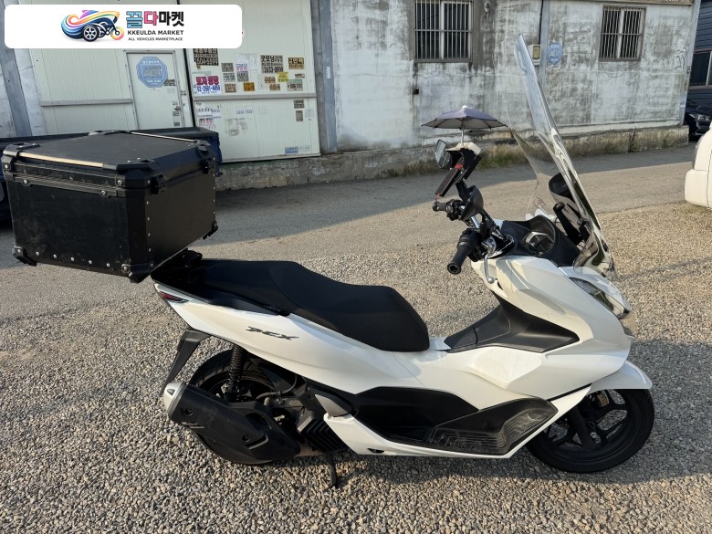 혼다 PCX 125 ABS 2024년식 혼다 pcx125 24년형 무슬립무사고 abs 스마트키 깔끔한차량