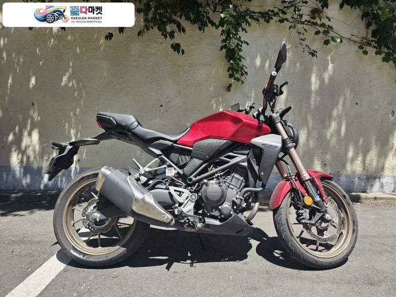 CB 300 R