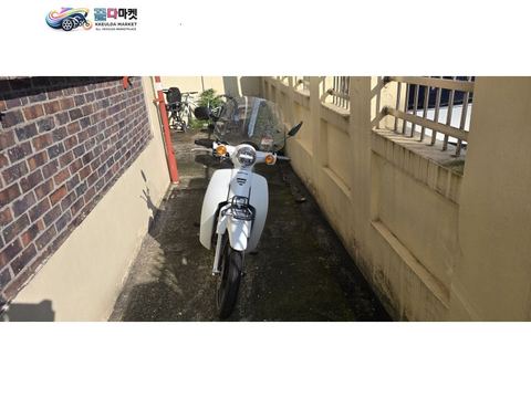 혼다 스쿠피 110 Fi 2024년식 슈퍼커브110(1인신조)