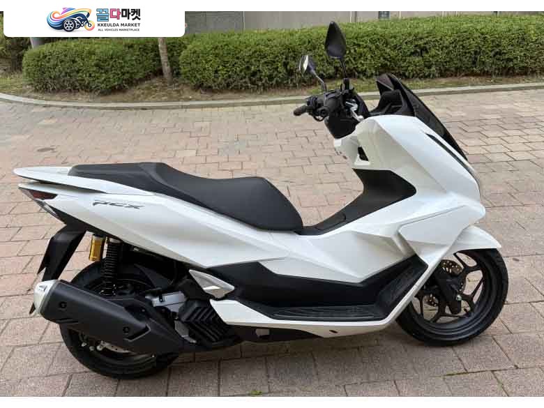 혼다 PCX 125 ABS 2026년식 26년식 PCX125ABS