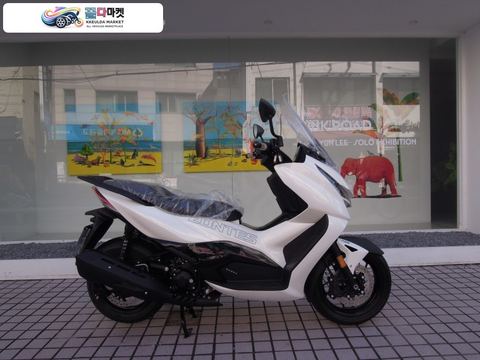 존테스 350 D 2026년식 존테스350 26년 신차 특가판매 2대한정