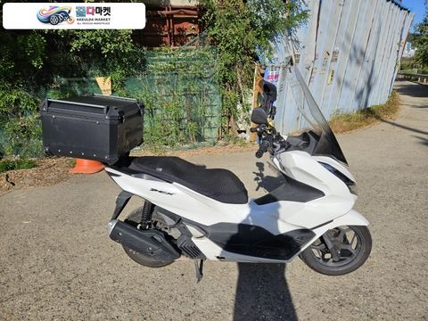 혼다 PCX 125 ABS 2023년식 혼다 pcx125 23년 abs 배달풀셋팅 화이트컬러