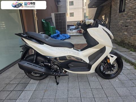 존테스 350 D 2025년식 존테스 350D 화이트 판매 카드무이자 최대24개월