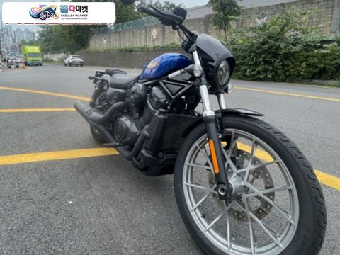 나잇스터 975
