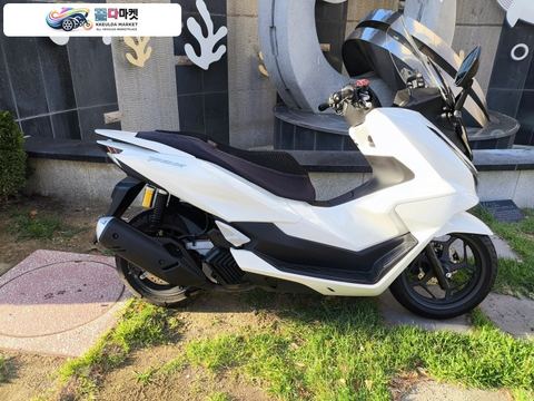 혼다 PCX 125 ABS 2026년식 HONDA PCX125 ABS 26년식 신차 컨디션