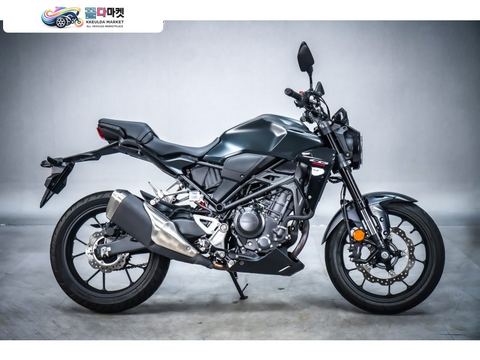 CB 300 R