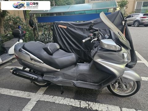버그만 650