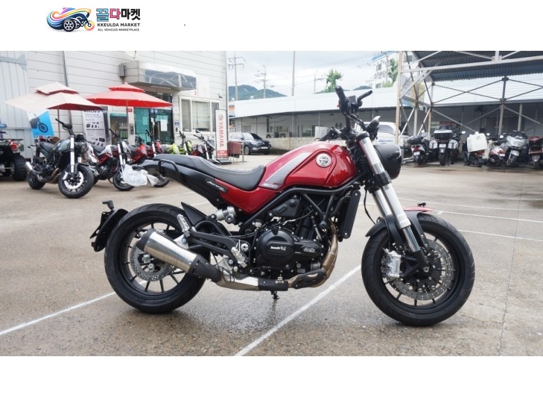 베넬리 레온치노 500 2021년식 [신차] 베넬리/레온치노500 2021년 프로모션 진행중