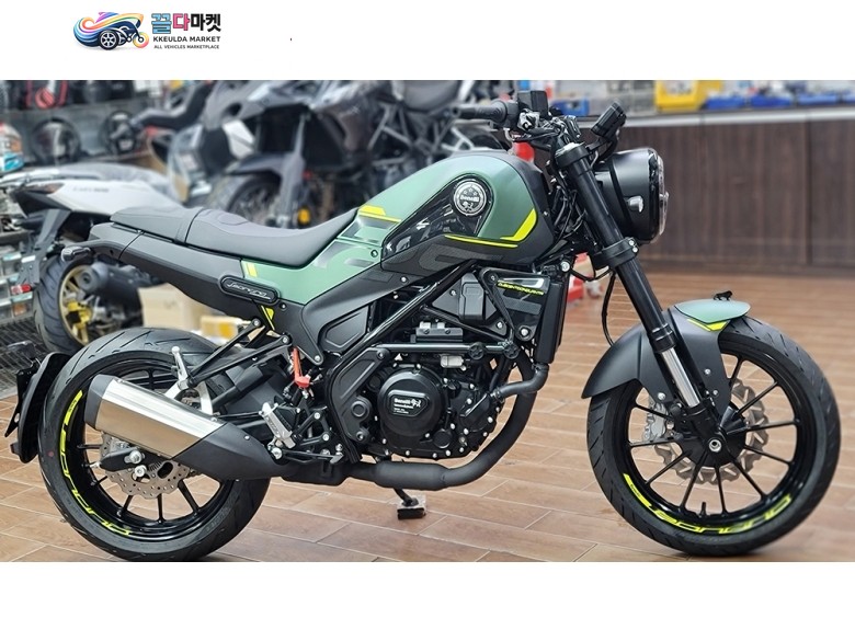 레온치노 250